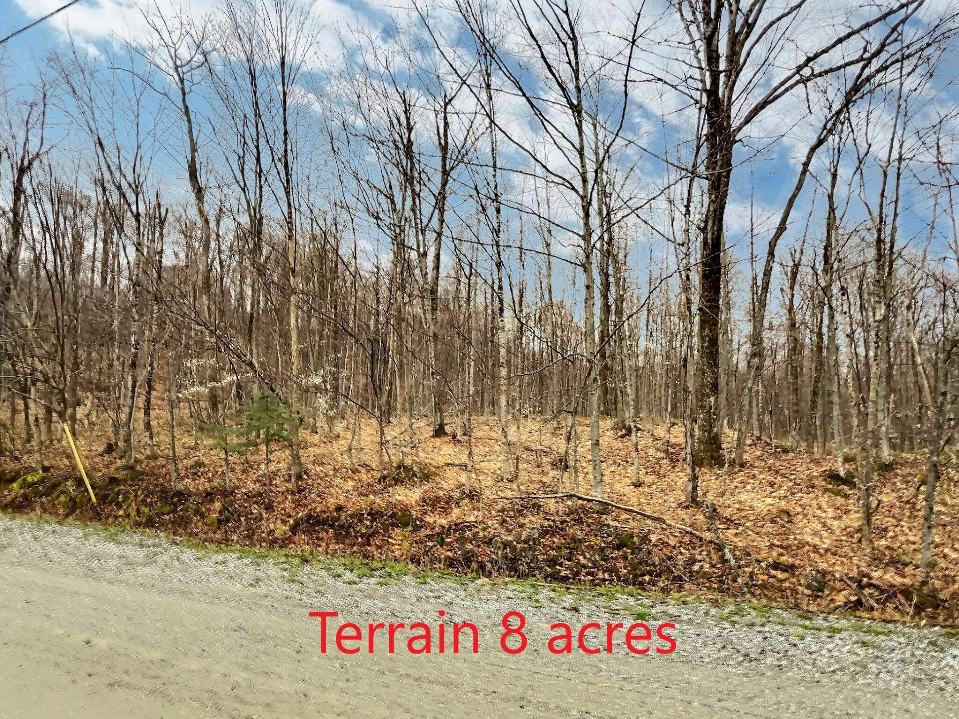 MLS: 15679322