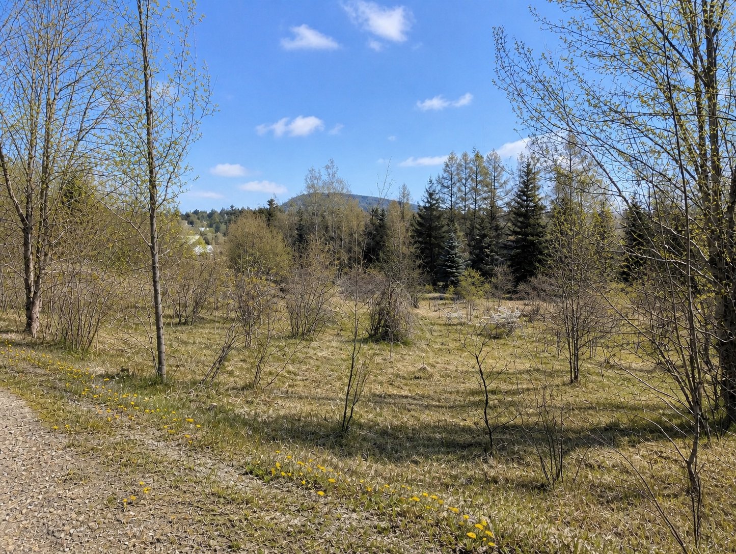 MLS: 28994530