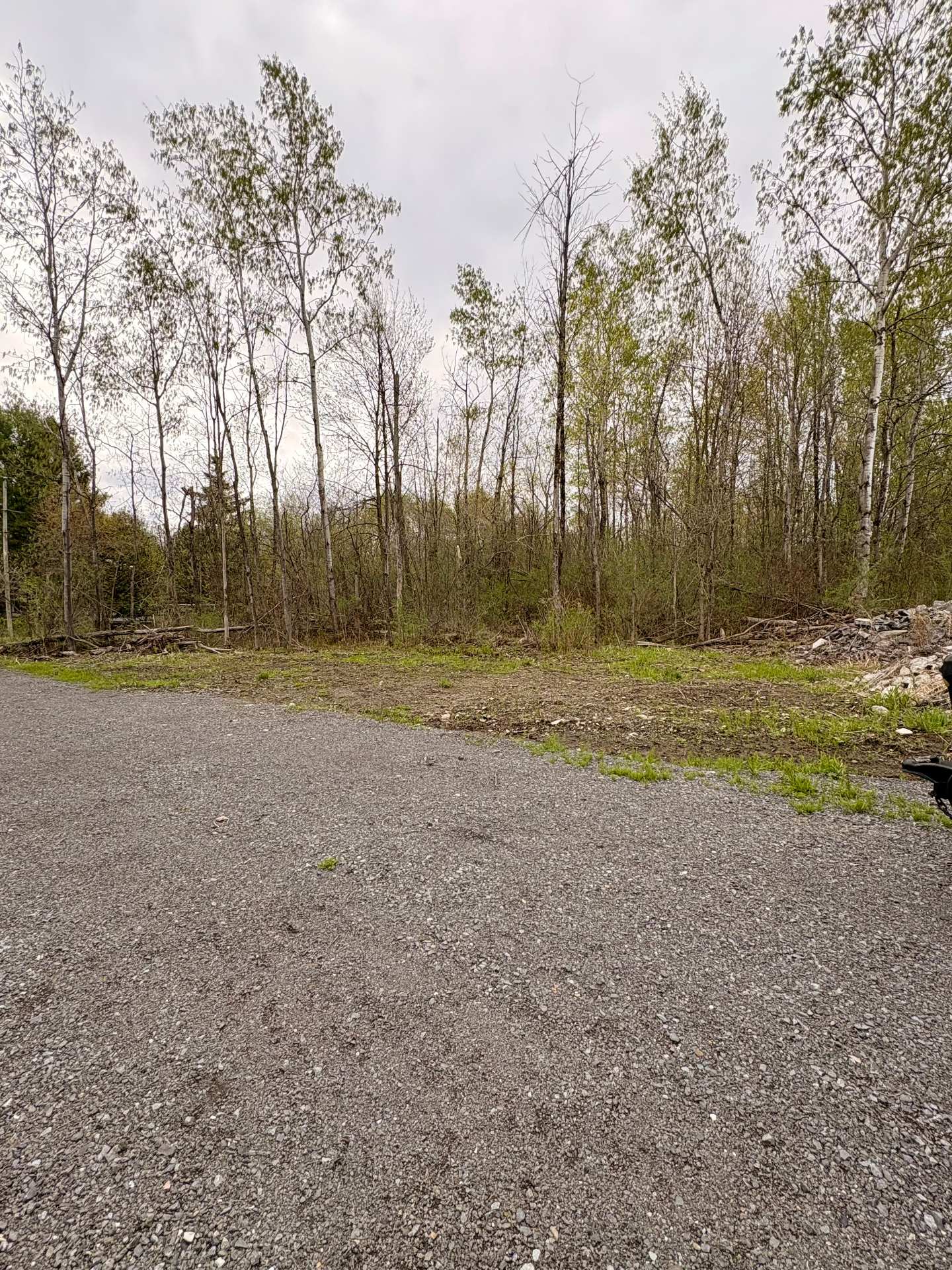 MLS: 12337198