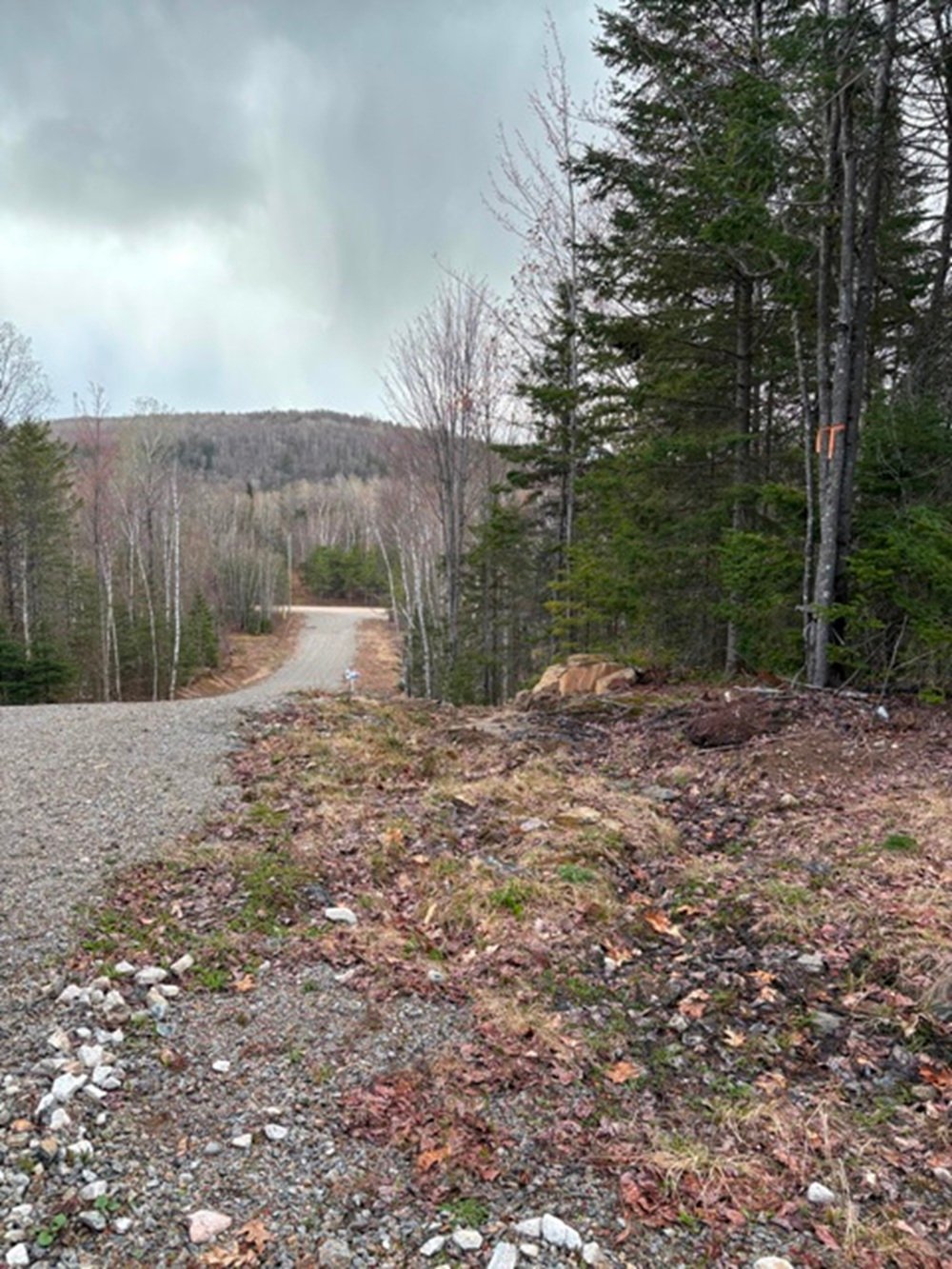 MLS: 18965327