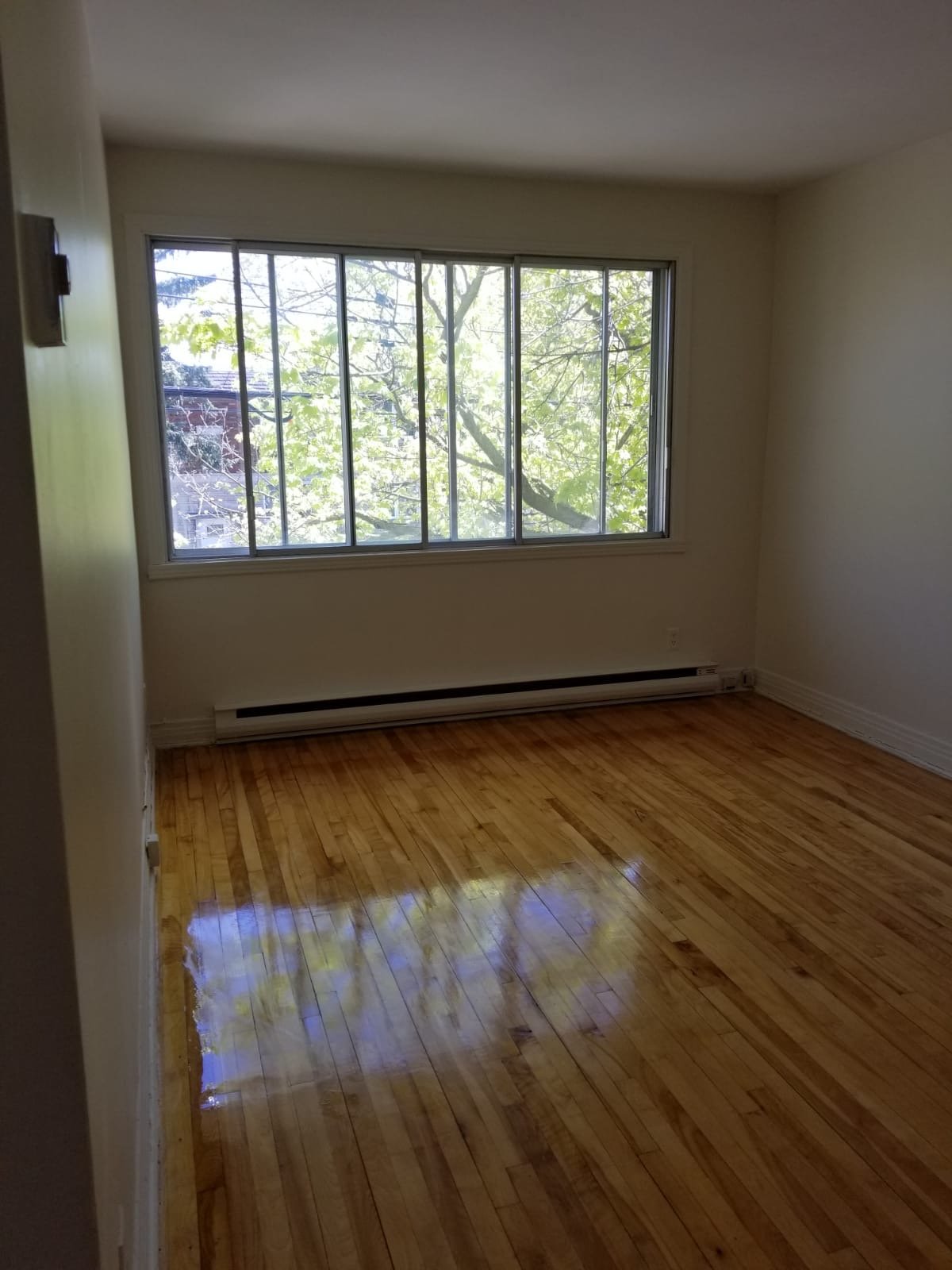 MLS: 23574869