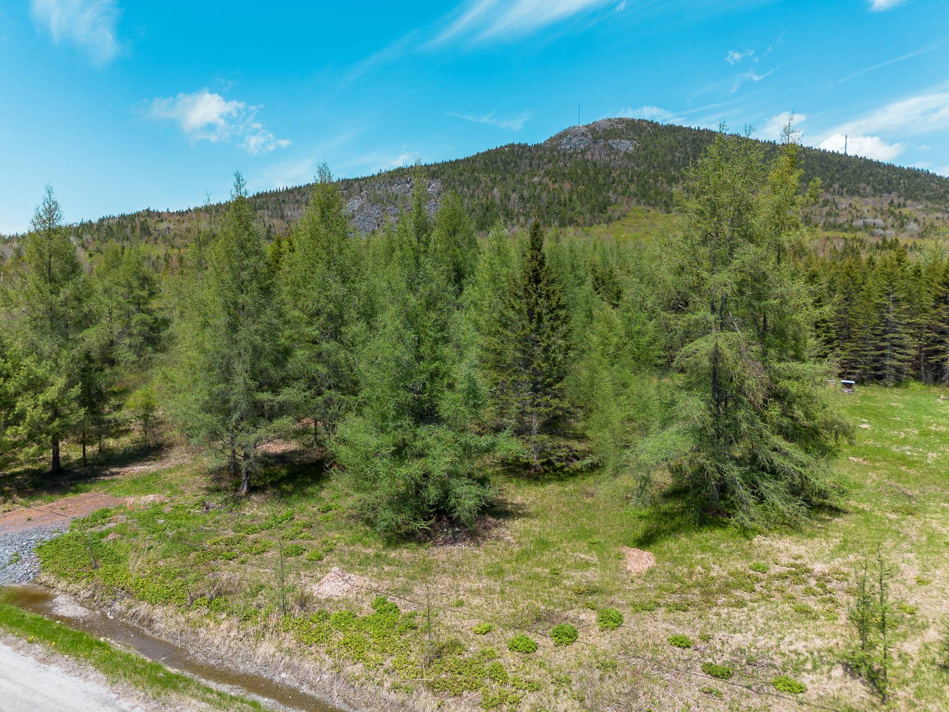 MLS: 19208592