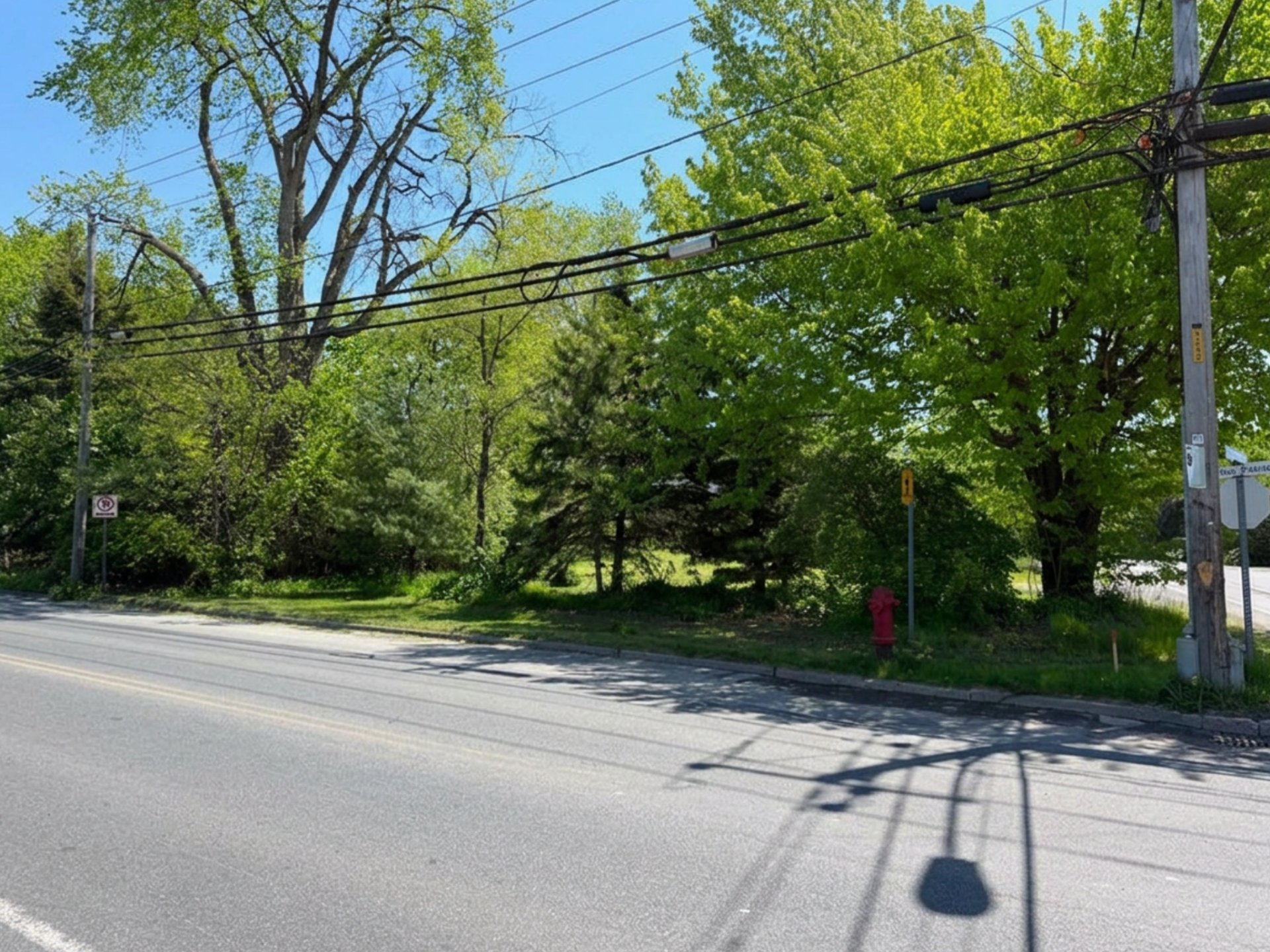 MLS: 21802879