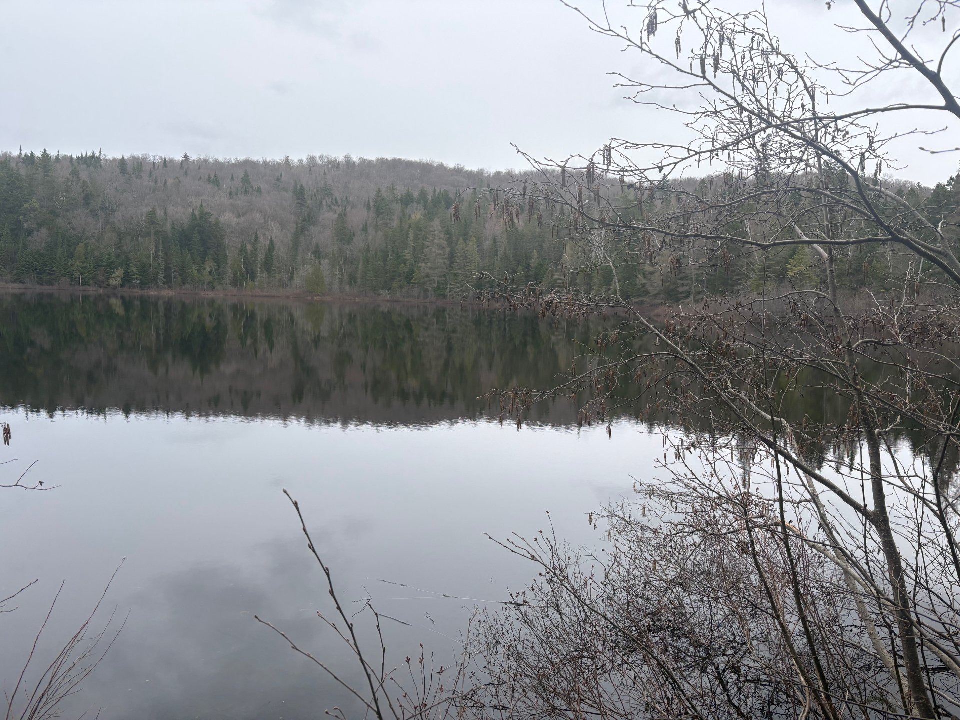 MLS: 12358667