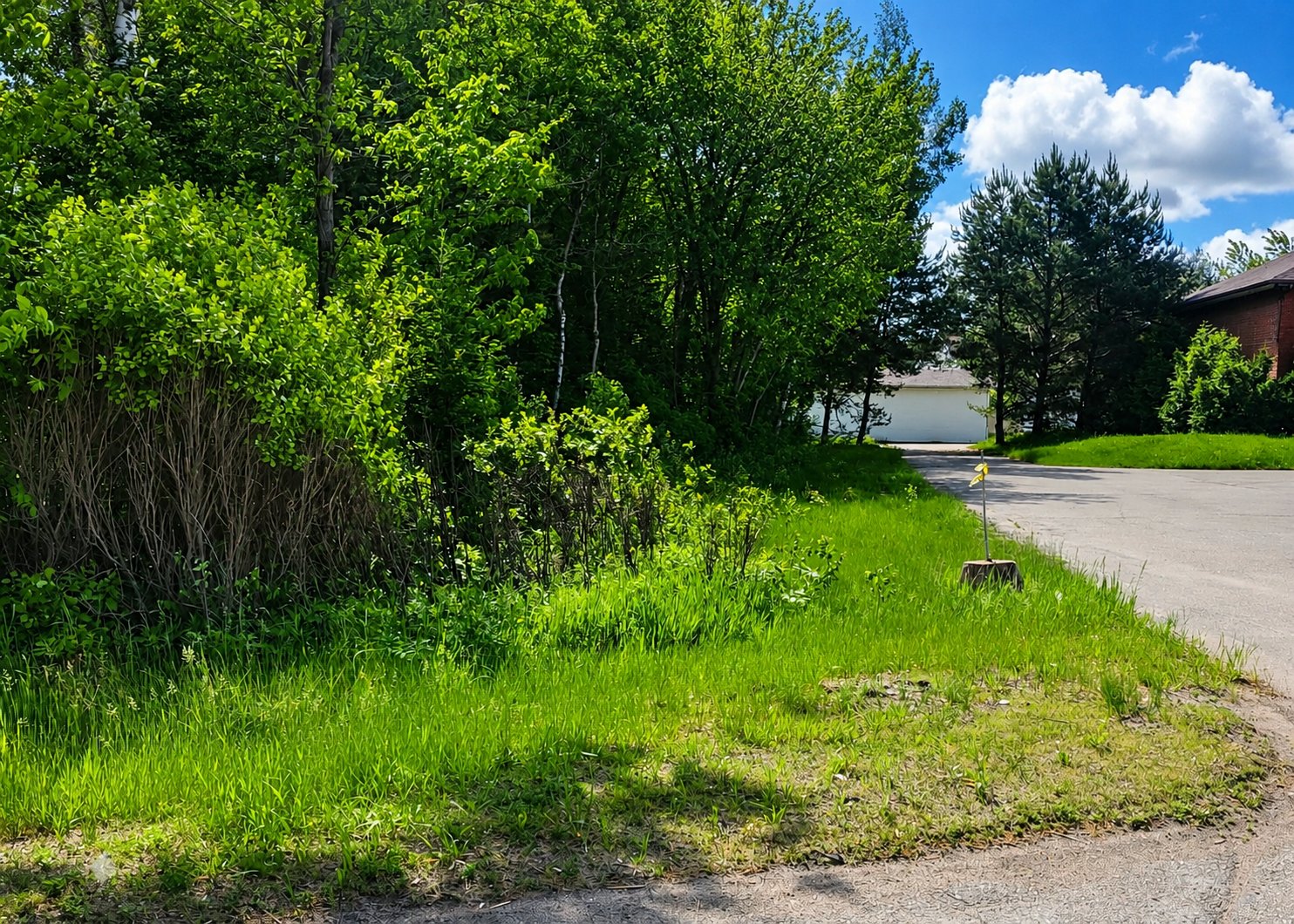 MLS: 14002679