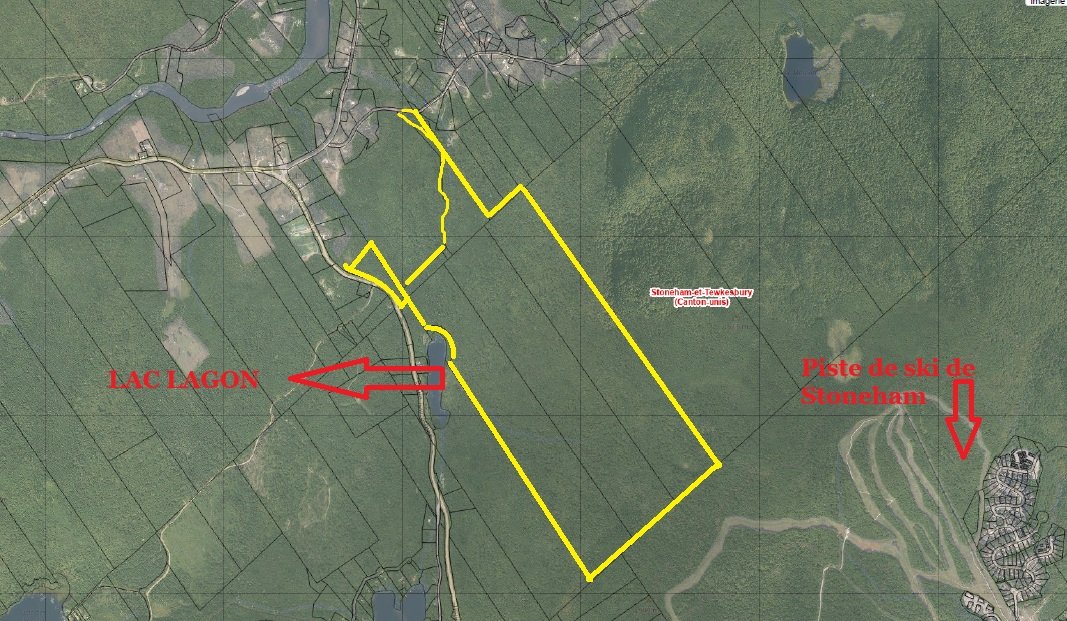 MLS: 19065132