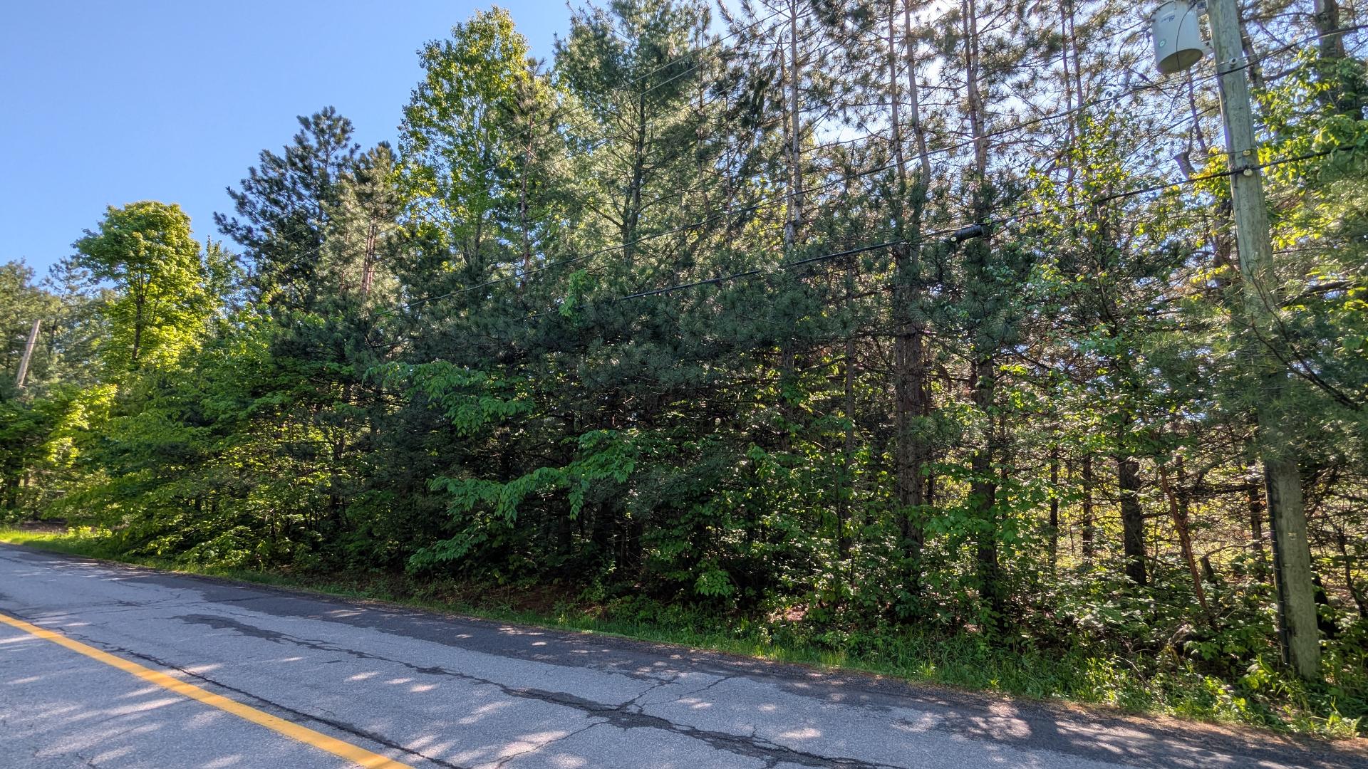 MLS: 18325334