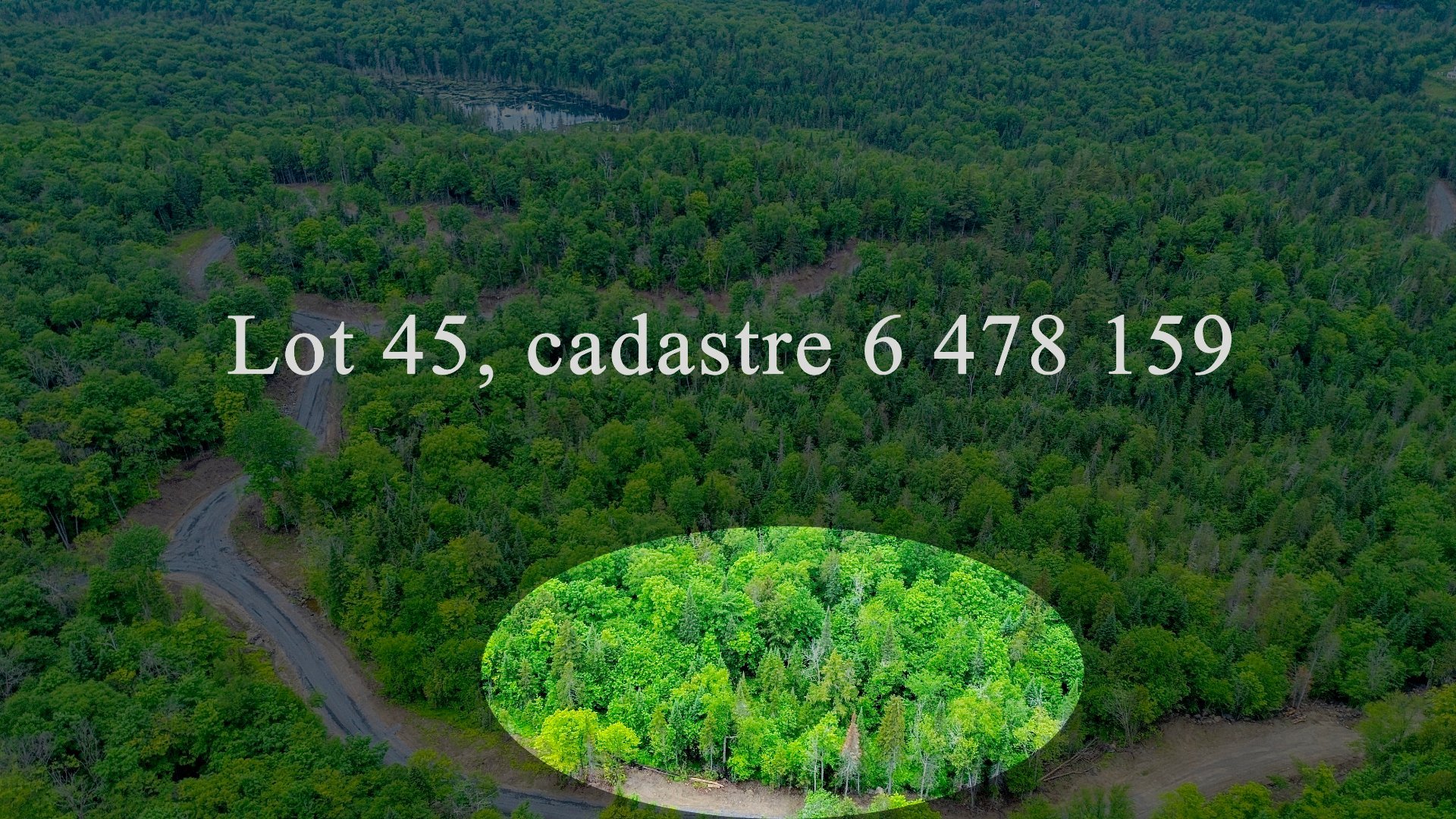 MLS: 21282623