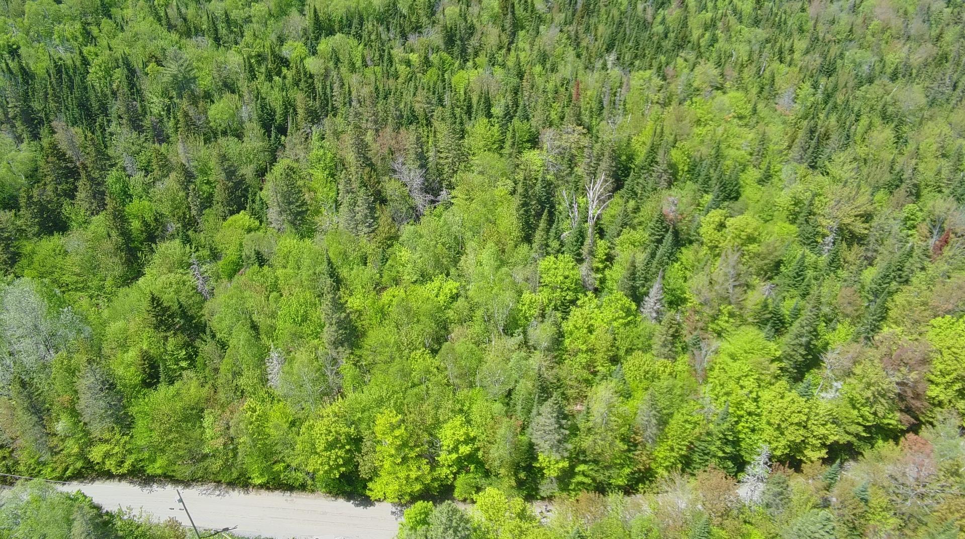 MLS: 16330861