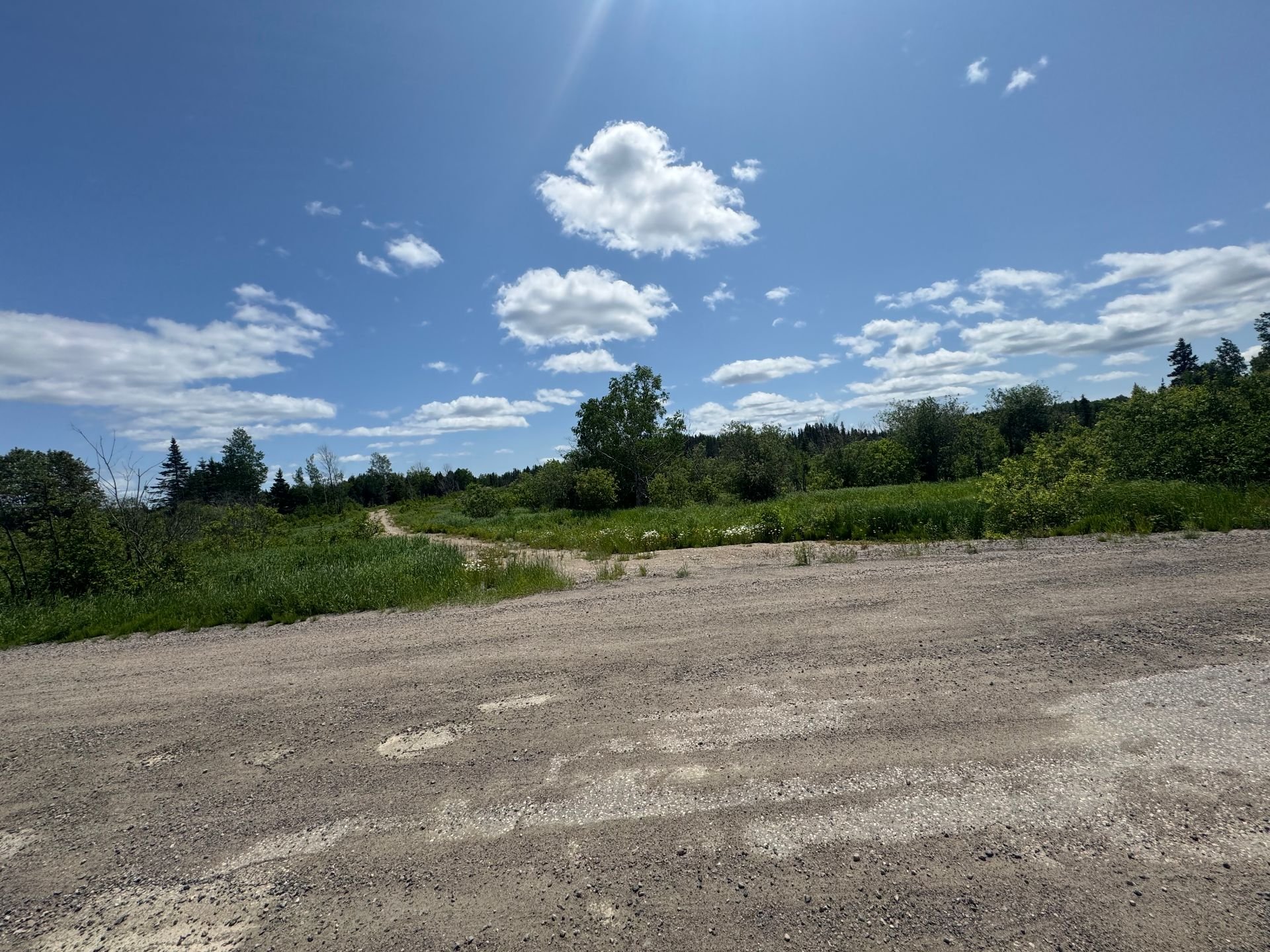 MLS: 17393701
