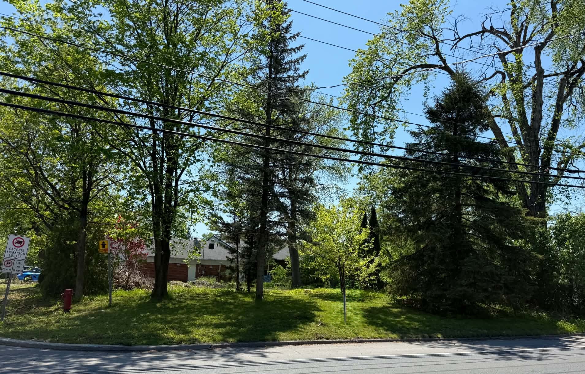 MLS: 13505052