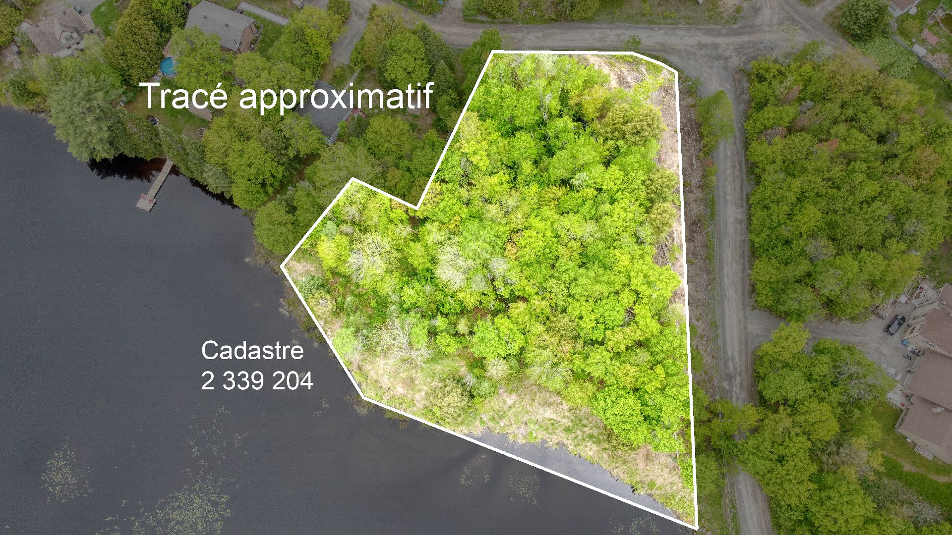 MLS: 20353616