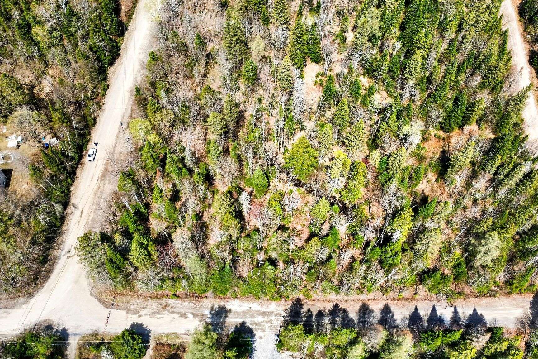 MLS: 12769648