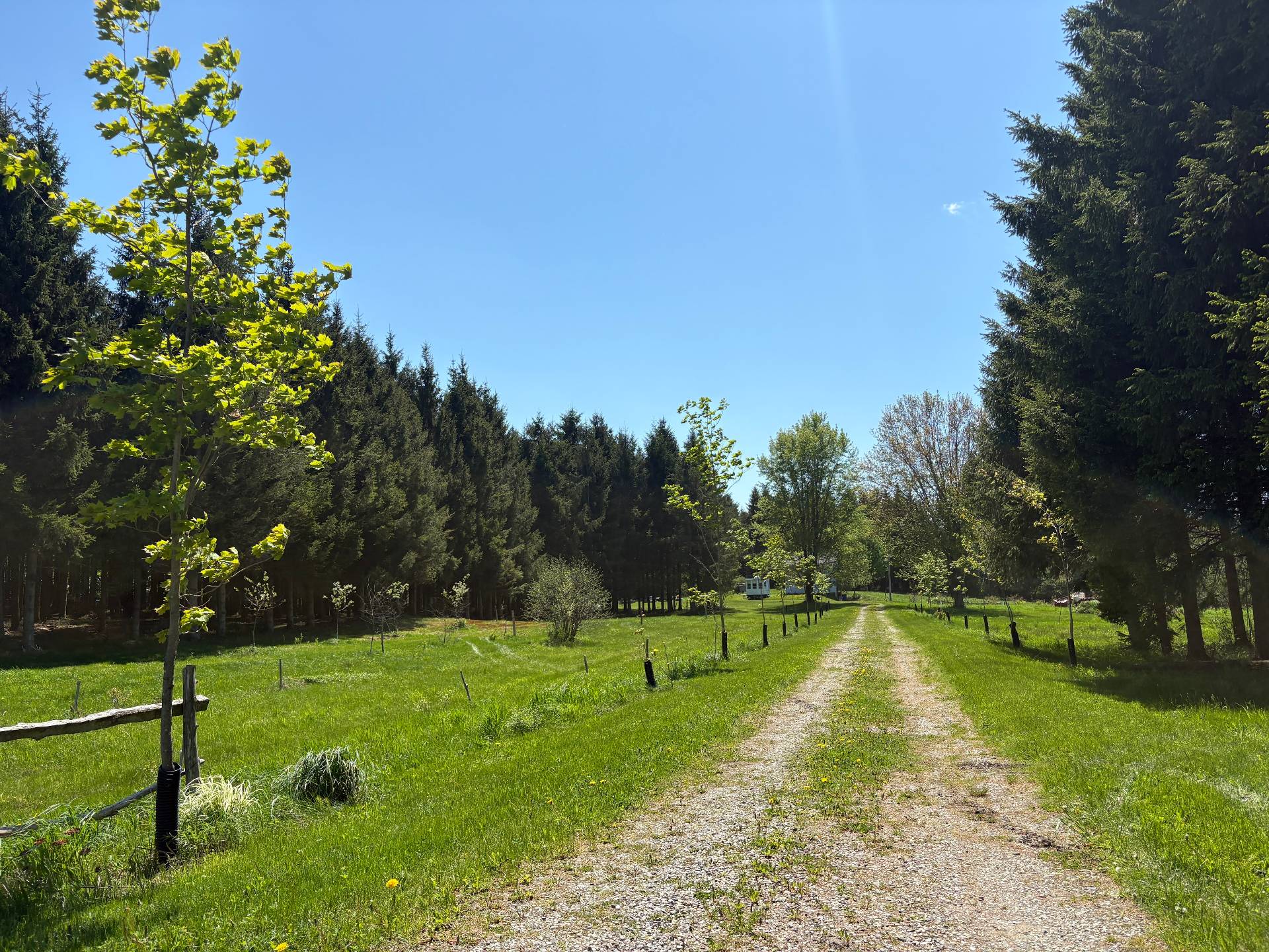 MLS: 18234184