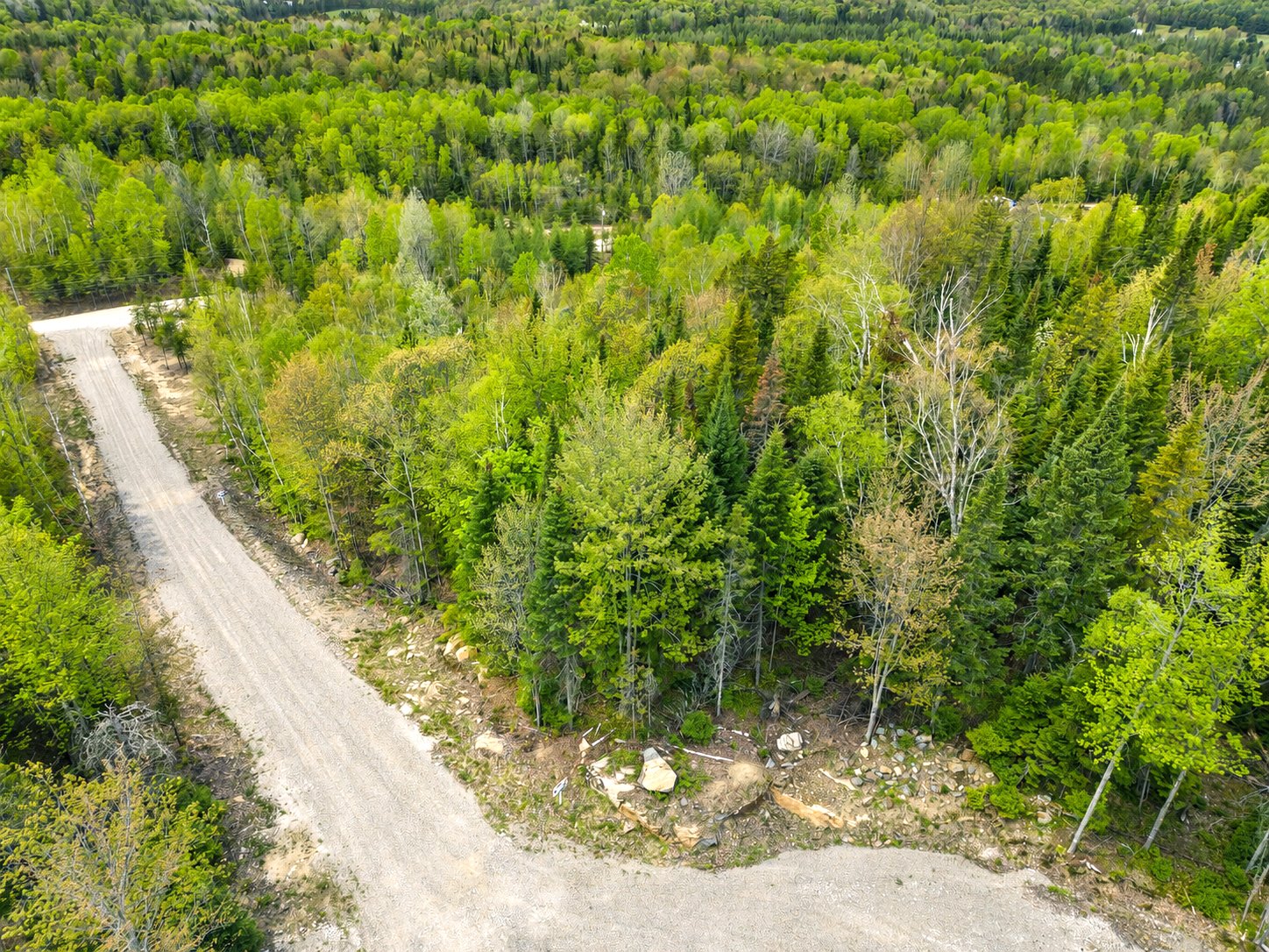 MLS: 18965327