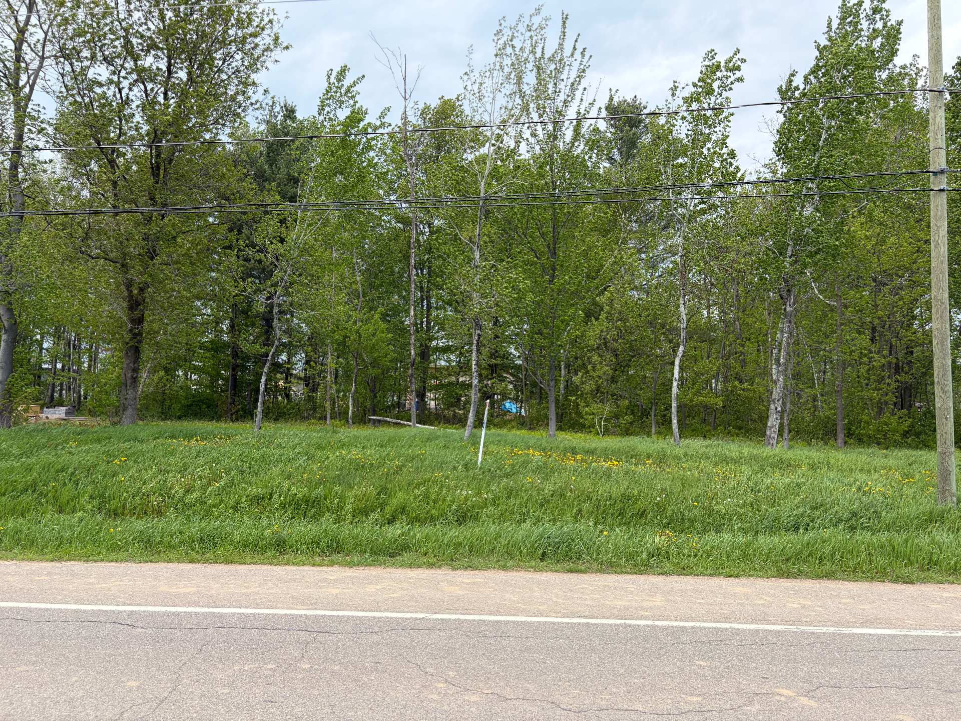 MLS: 9340900
