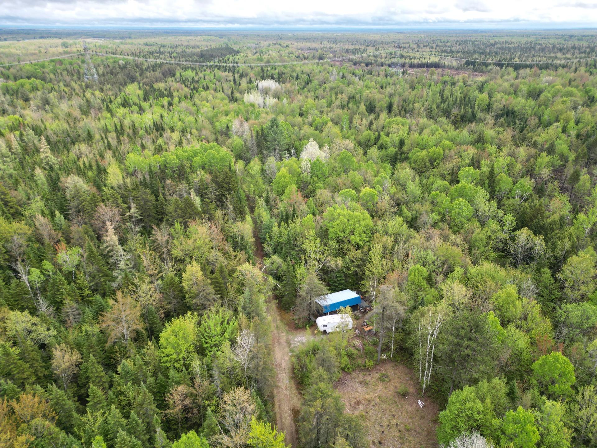 MLS: 13181139