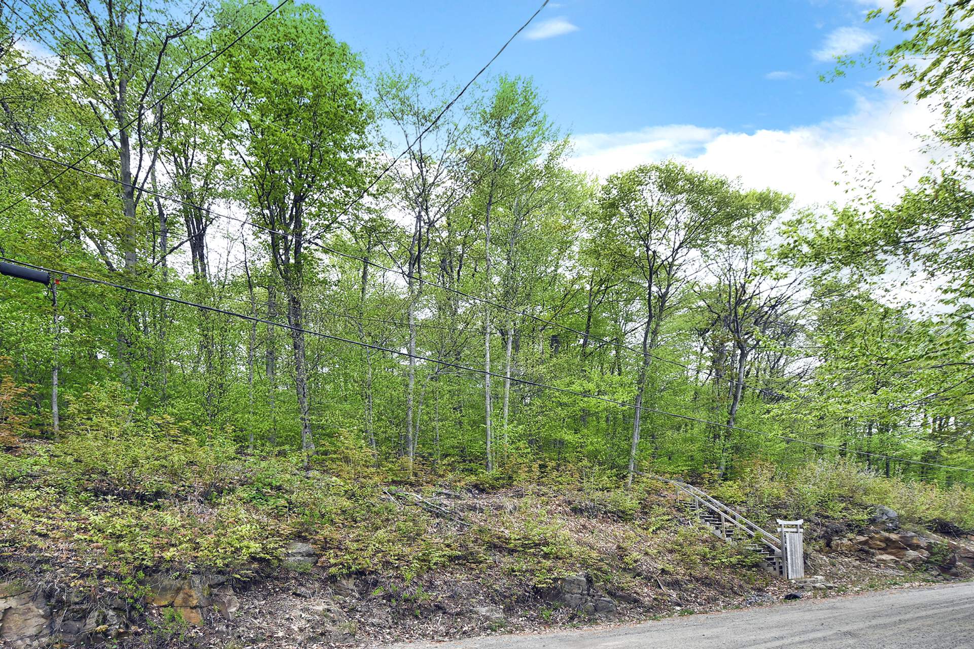 MLS: 11111958