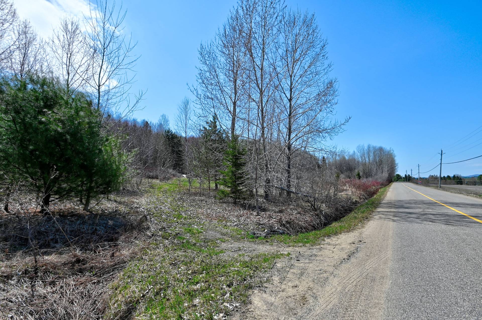 MLS: 20525258