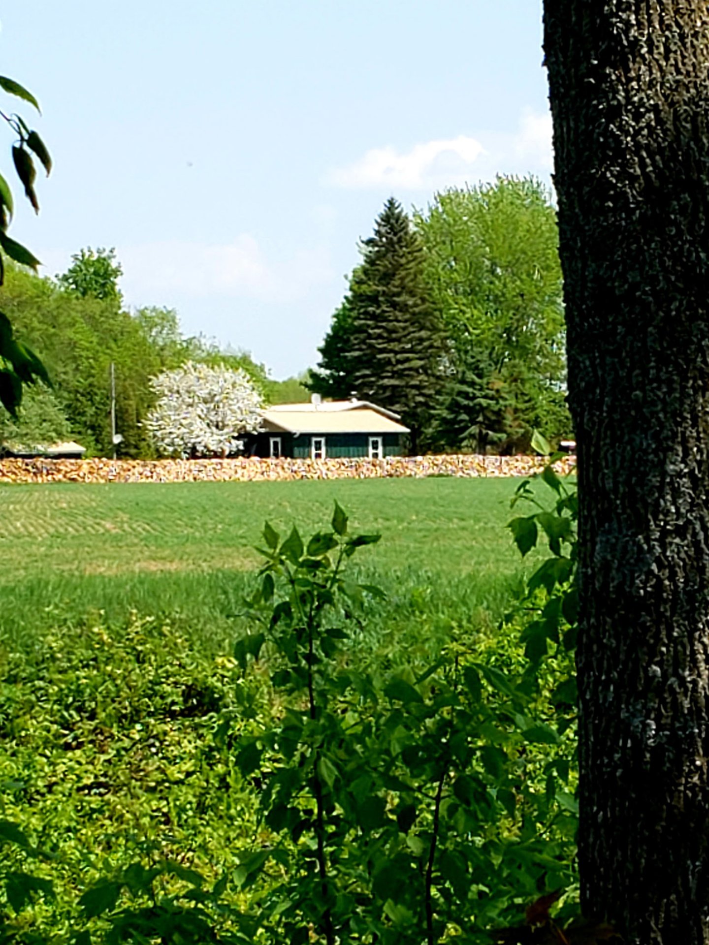 MLS: 11614313
