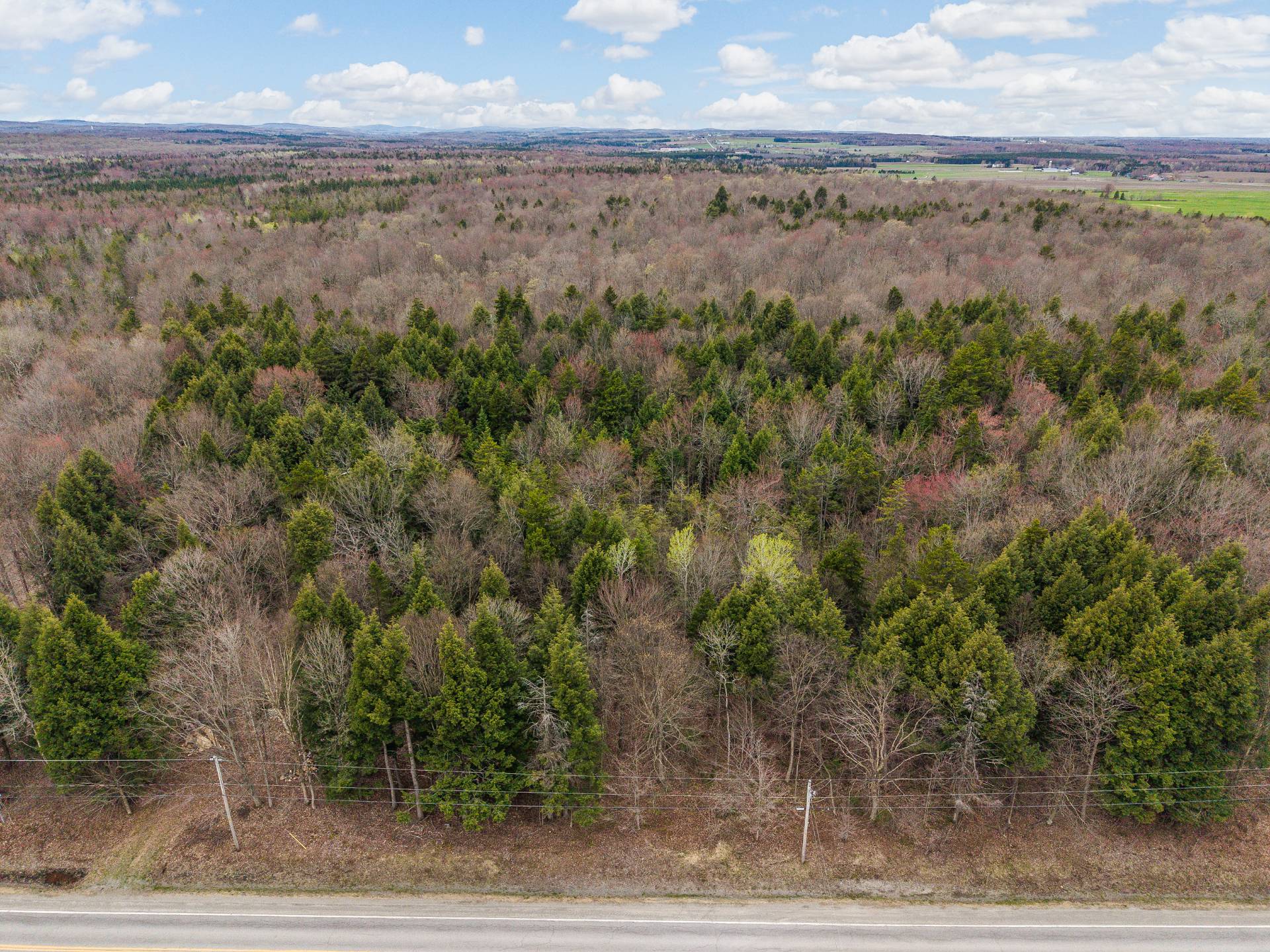 MLS: 28903873