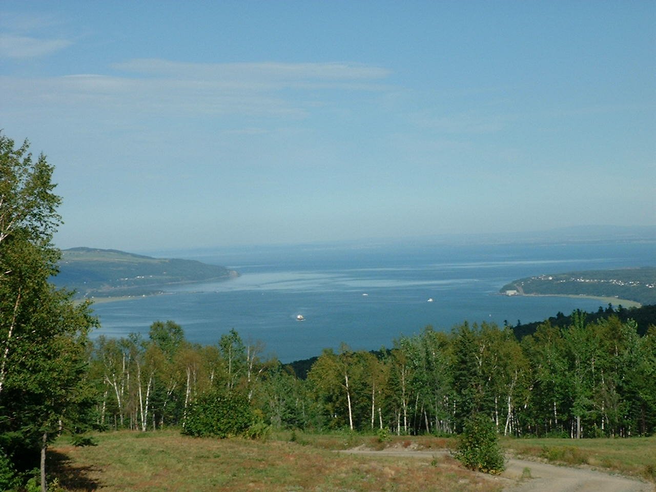 MLS: 18582826