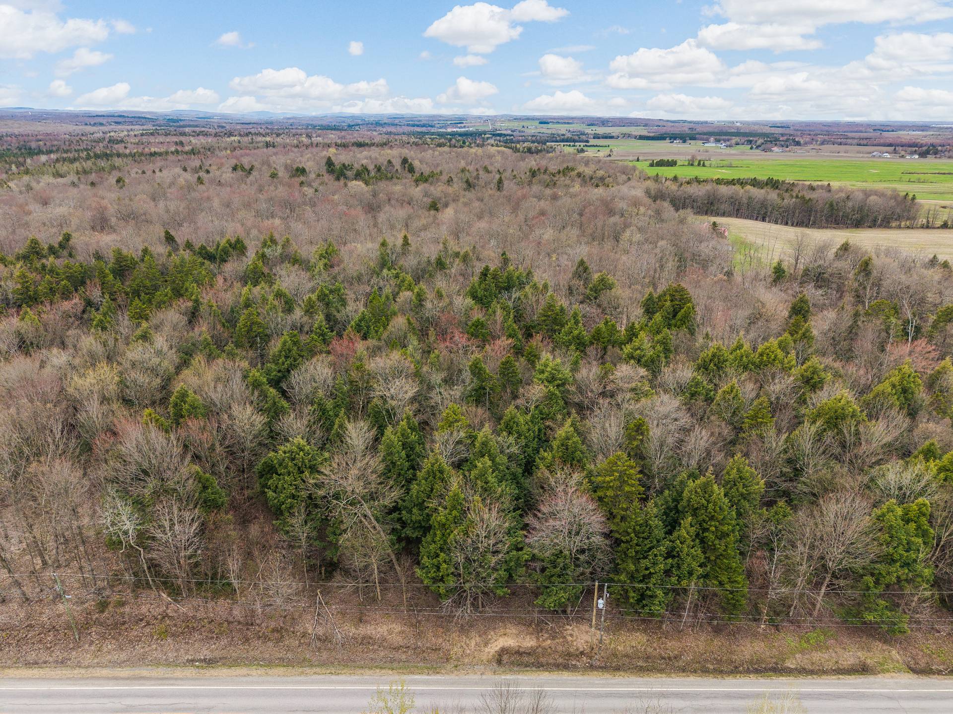 MLS: 13680045