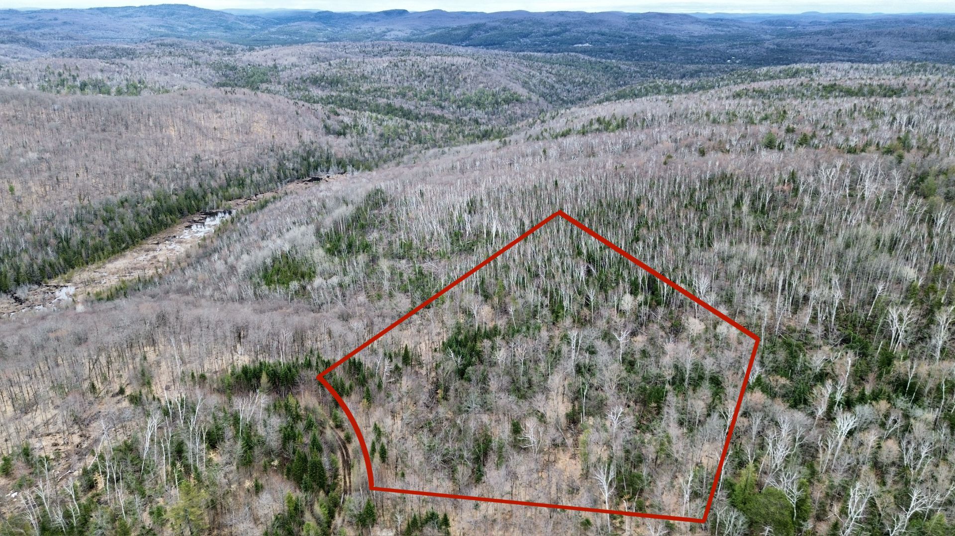 MLS: 15633772