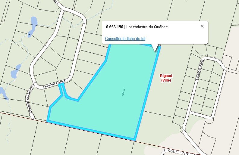 MLS: 14175299