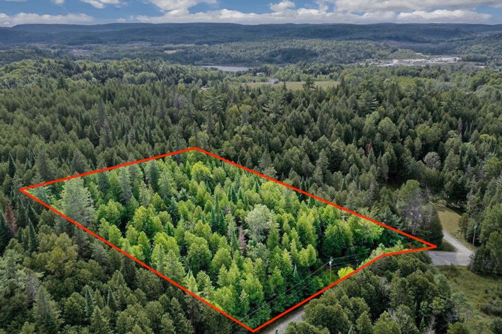 MLS: 26502287