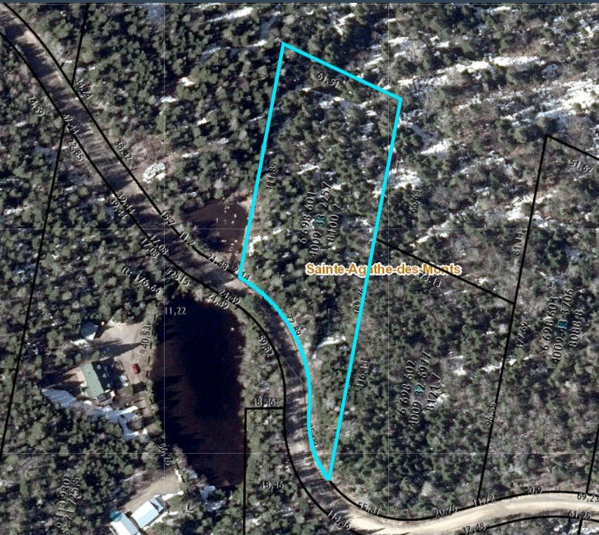 MLS: 25943599