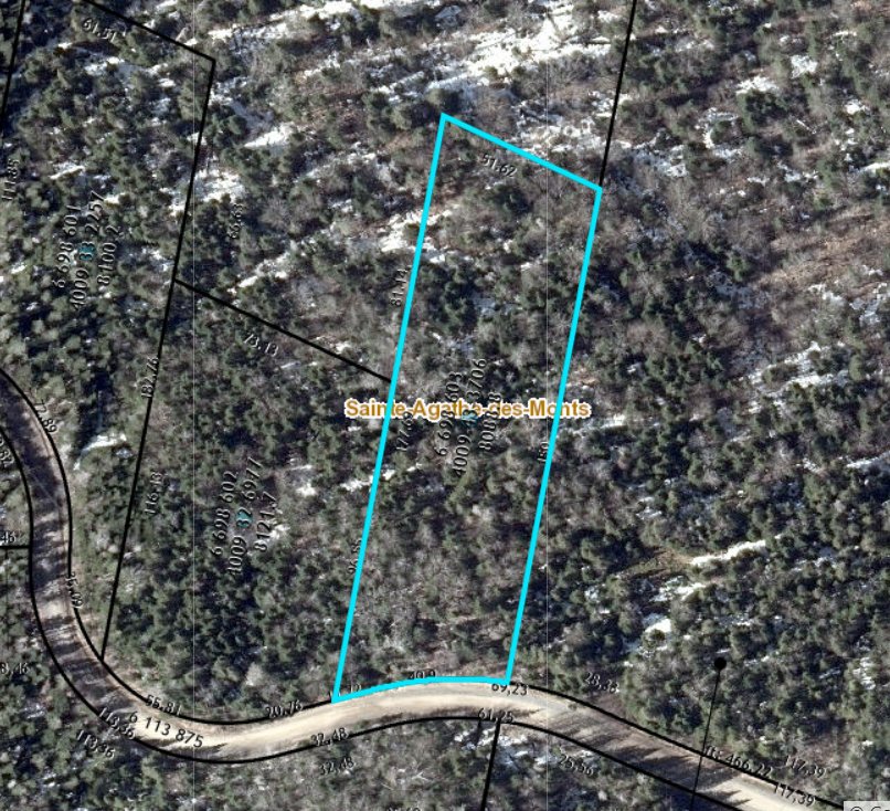 MLS: 28366817
