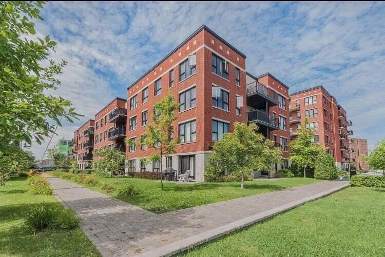 MLS: 19423242