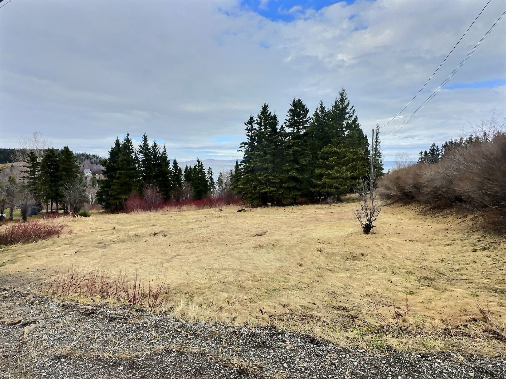 MLS: 19476150
