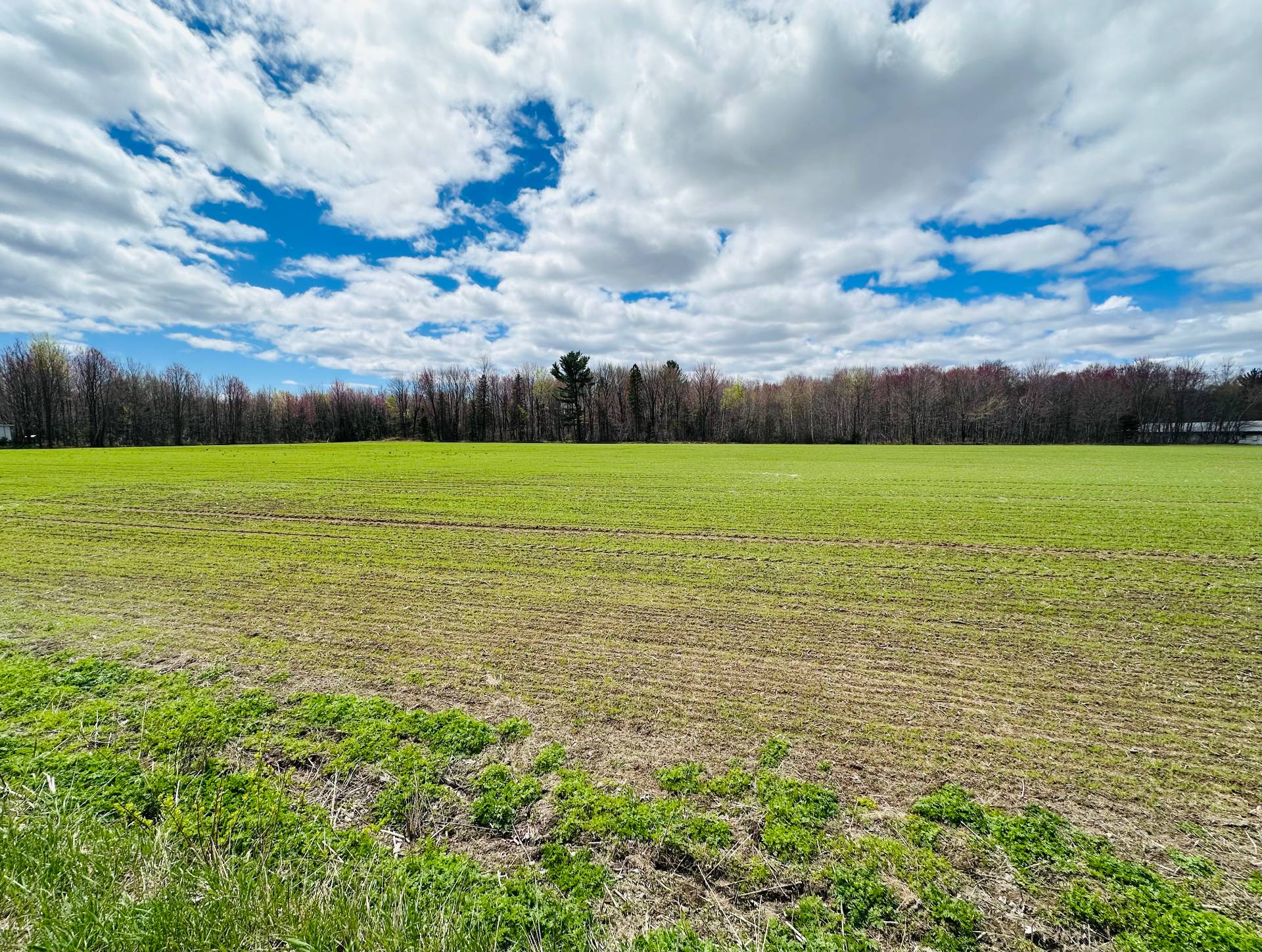 MLS: 23080459