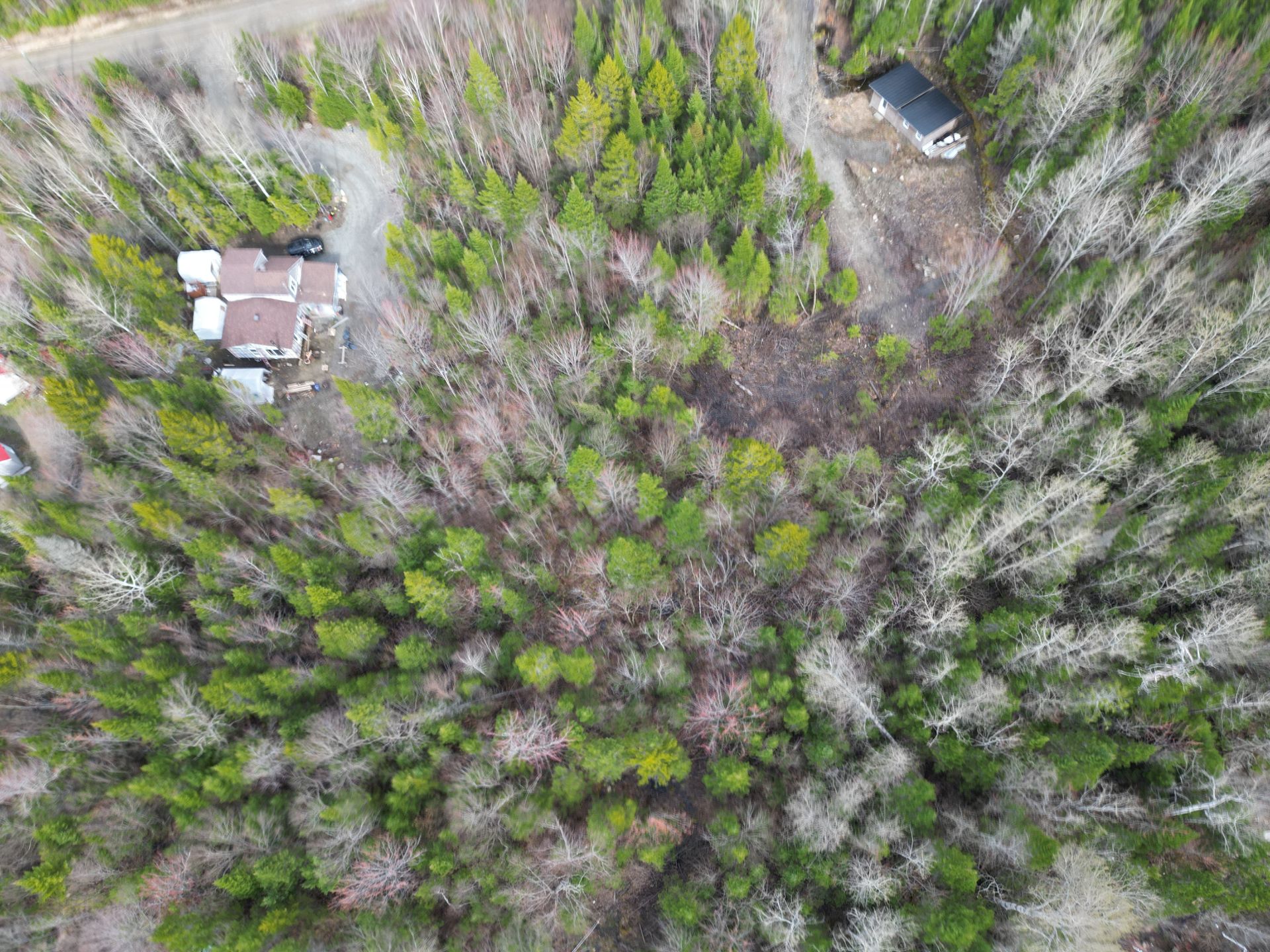 MLS: 14154516