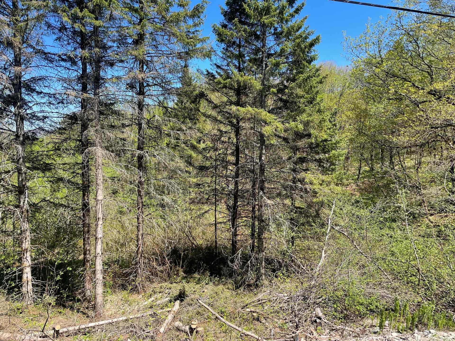 MLS: 27022391