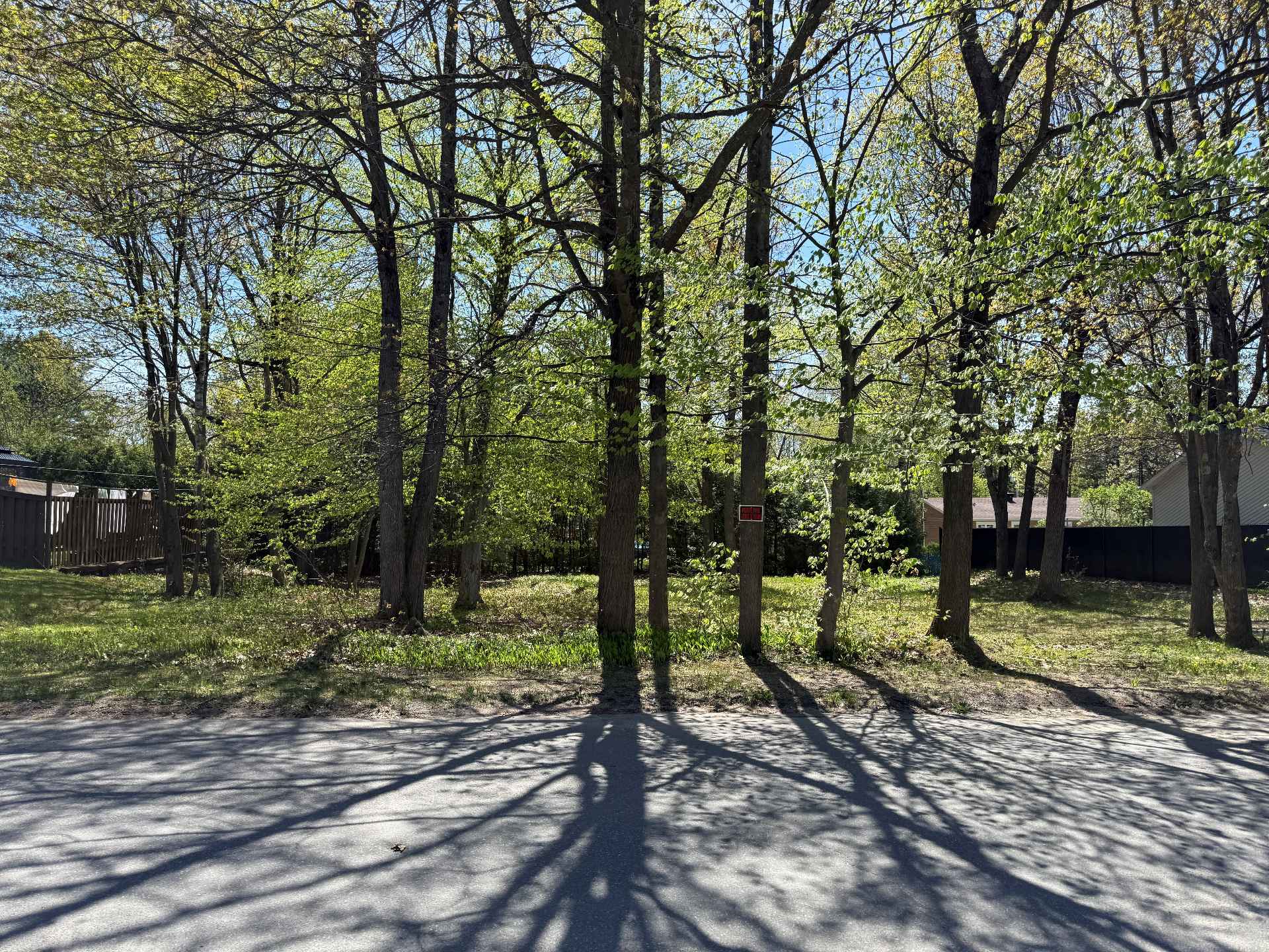 MLS: 19558151