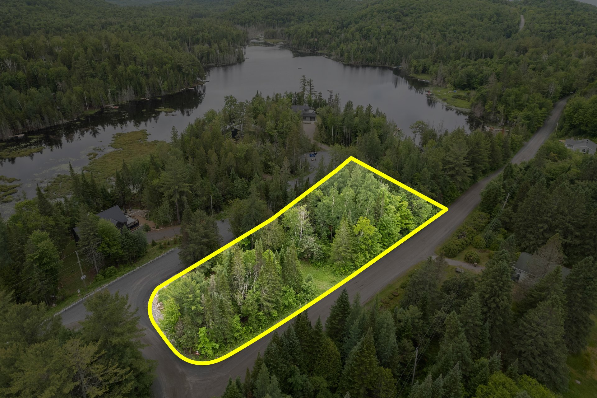MLS: 11028856