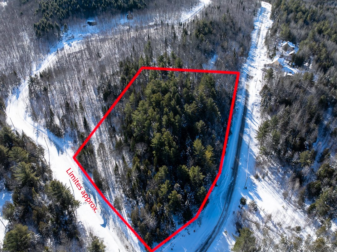 MLS: 23365017