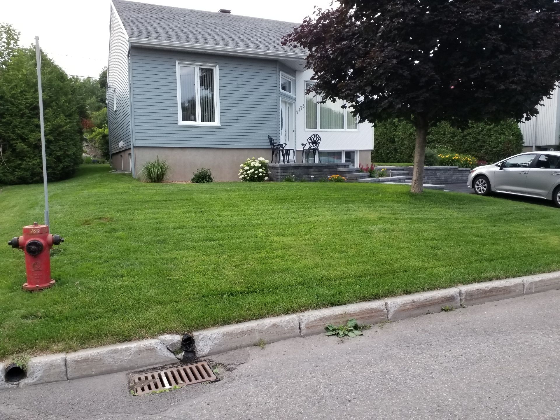 MLS: 22065412
