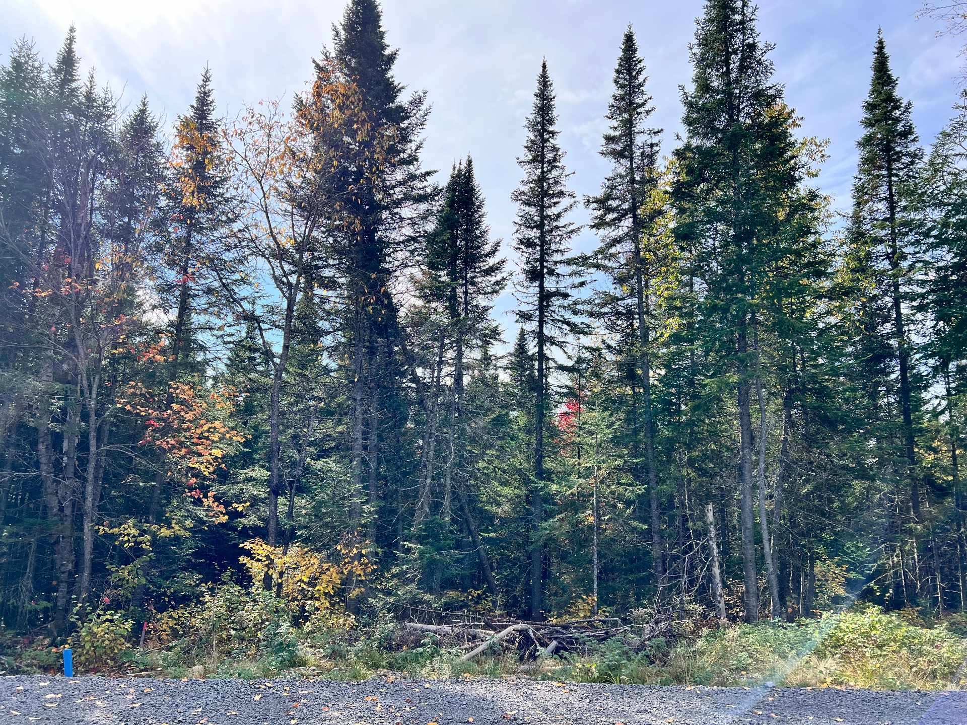 MLS: 9553818