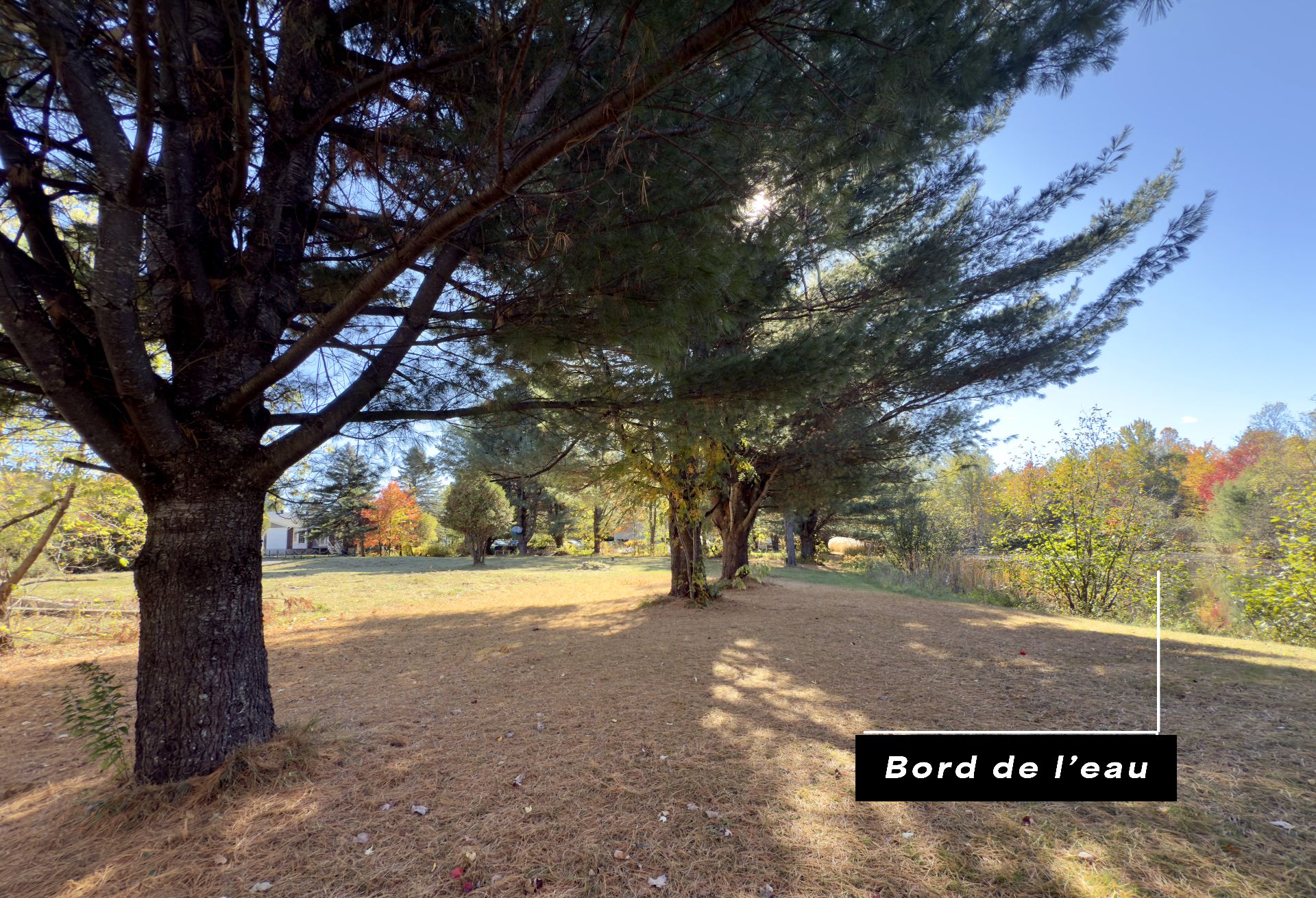 MLS: 25213526
