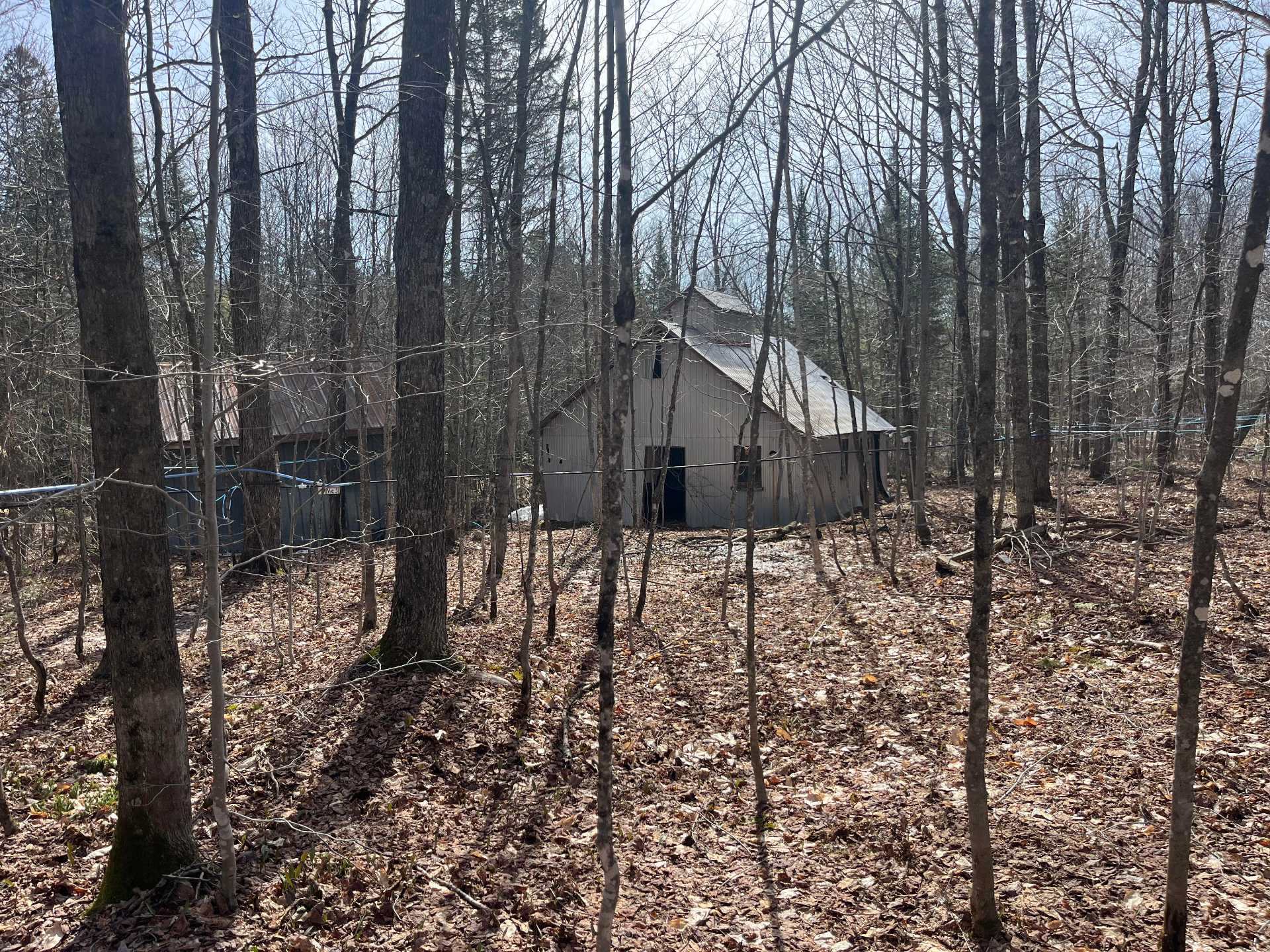 MLS: 28021305