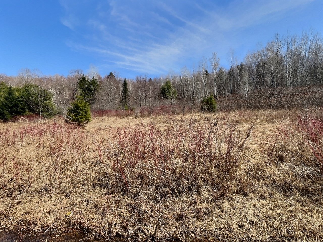 MLS: 20525258