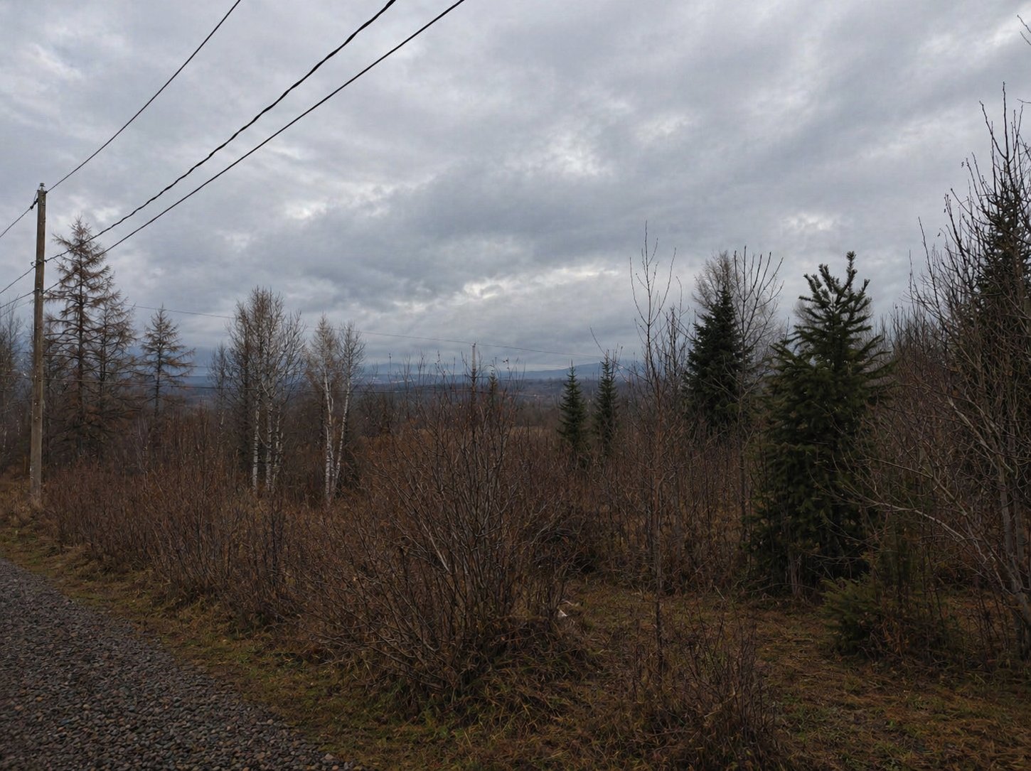 MLS: 26391134