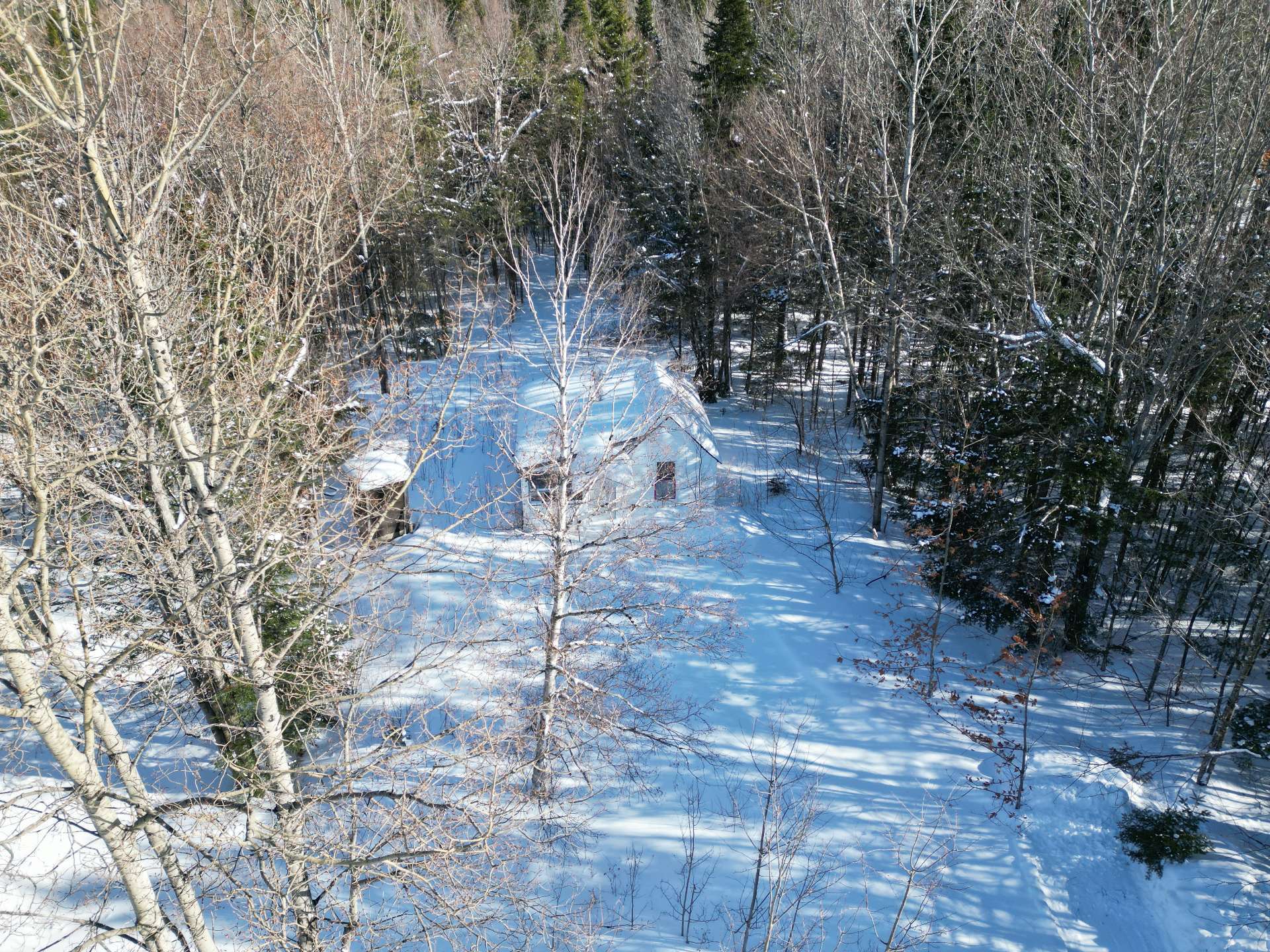 MLS: 14154516