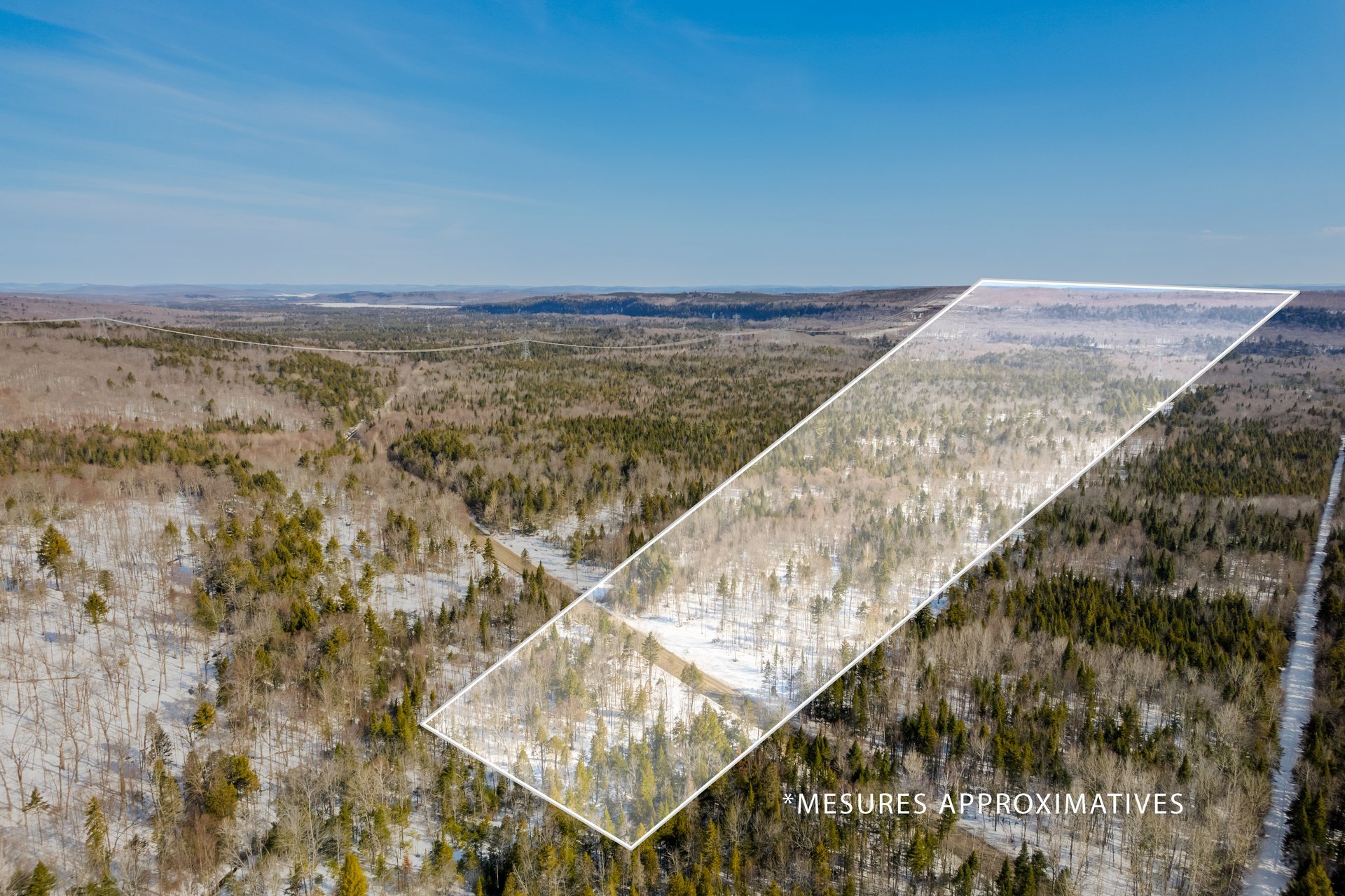 MLS: 13615076