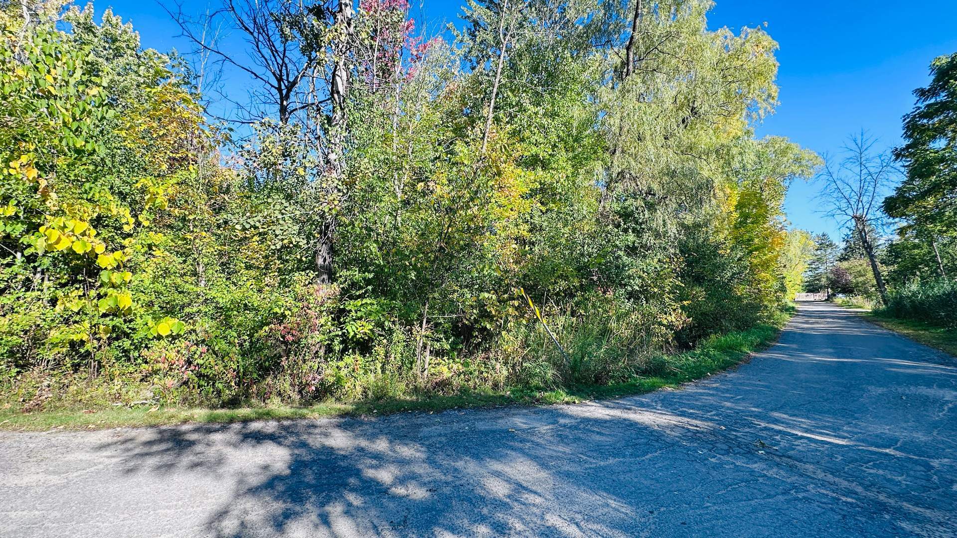 MLS: 13076855