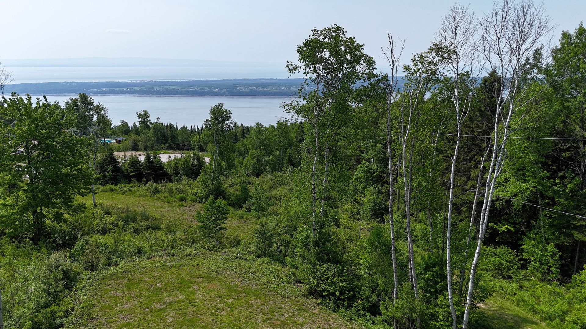 MLS: 12642883